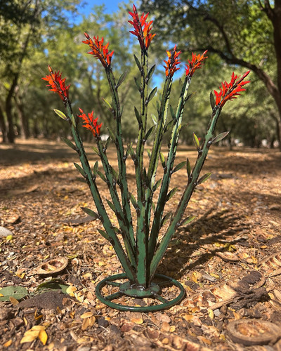 Scultura ocotillo metallo - scultura, in